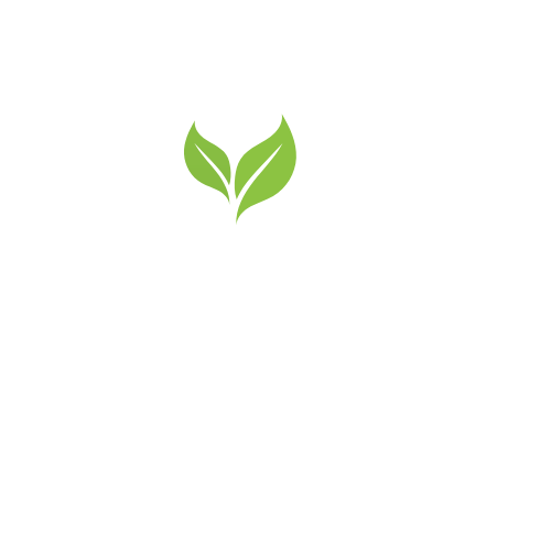 fitvo.blog
